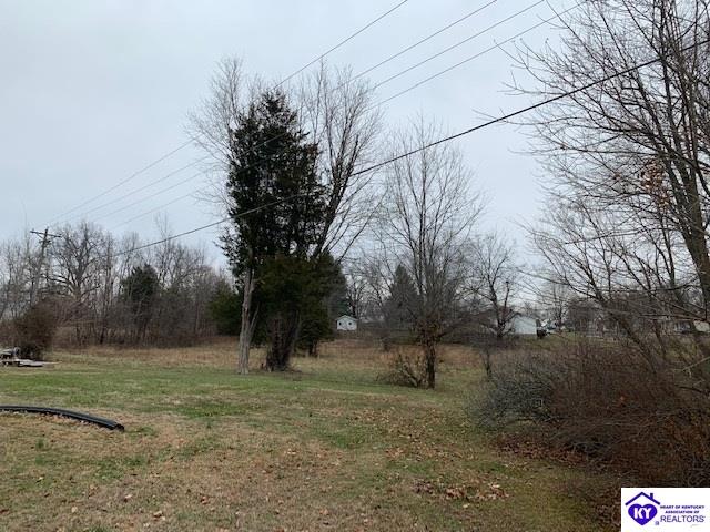 Listing Picture 2612 Hill Street Vine Grove, KY 41075 MLS HK10050921