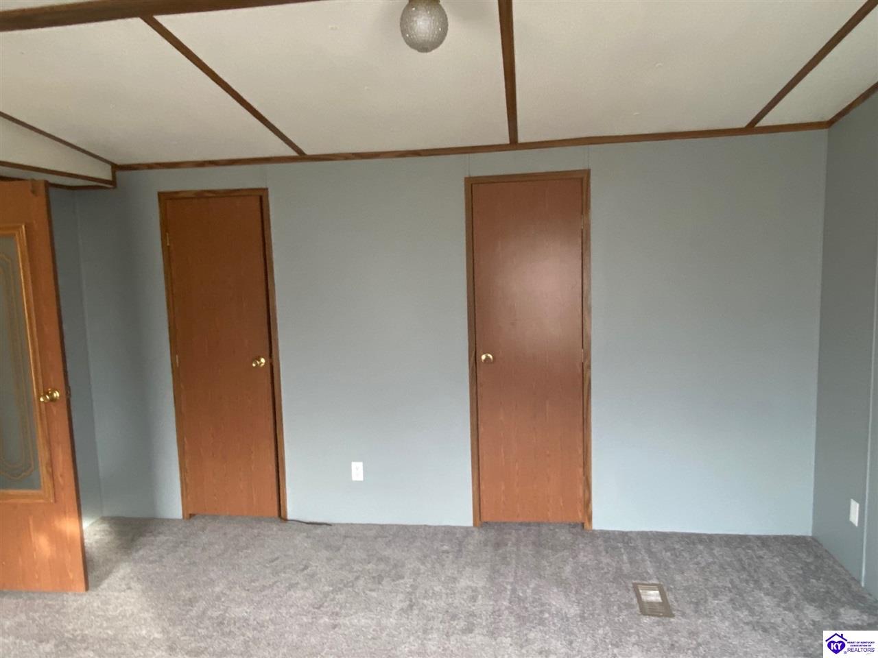 Listing Picture 2985 Moseley Road , KY 42376 MLS HK10051235