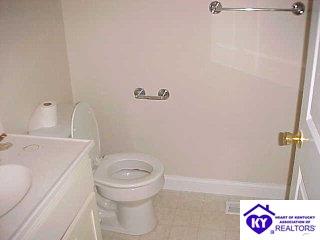 Listing Picture 175 Lone Valley Road Campbellsville, KY 42718 MLS HK9993258