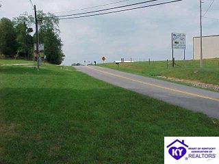 Listing Picture 175 Lone Valley Road Campbellsville, KY 42718 MLS HK9993258
