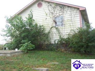 Listing Picture 3370 Guston Road Guston, KY 40142 MLS HK9993768