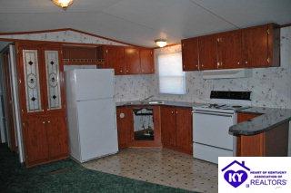 Listing Picture 250 Creek View Court Vine Grove, KY 40175 MLS HK9993633