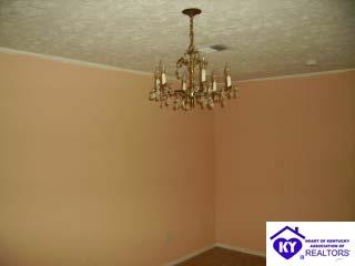 Listing Picture 174 Lemon Bend Road Campbellsville, KY 42718 MLS HK9993989