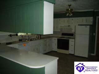 Listing Picture 174 Lemon Bend Road Campbellsville, KY 42718 MLS HK9993989