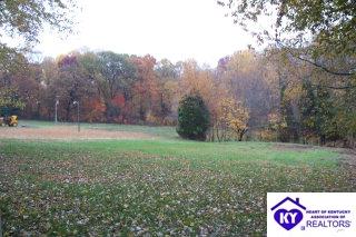 Listing Picture 273 Mt Zion Road Elizabethtown, KY 42701 MLS HK9993783