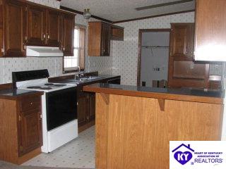 Listing Picture 147 O'Bryan Lane Hardinsburg, KY 40143 MLS HK9994621