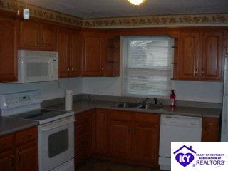 Listing Picture 161 Silver Drive Sonora, KY 42776 MLS HK9994639