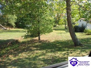 Listing Picture 3493 Wilson Church Road Caneyville, KY 42721 MLS HK9995429