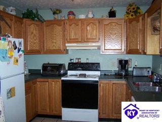 Listing Picture 503 Stasel Street Clarkson, KY 42726 MLS HK9995115