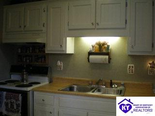 Listing Picture 107 Dana Drive Hodgenville, KY 42748 MLS HK9995949