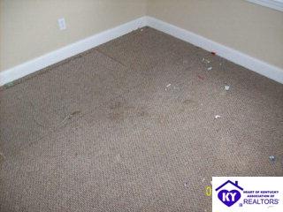 Listing Picture 112 Pine Street Campbellsville, KY 42718 MLS HK9996196