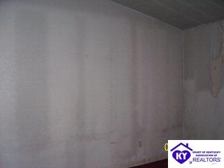 Listing Picture 387 Rough River Resort McDaniels, KY 40152 MLS HK9996132