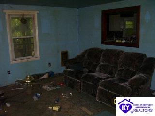 Listing Picture 355 Benham Road Brandenburg, KY 40108 MLS HK9996369