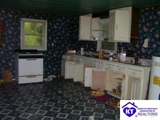 Listing Picture 355 Benham Road Brandenburg, KY 40108 MLS HK9996369