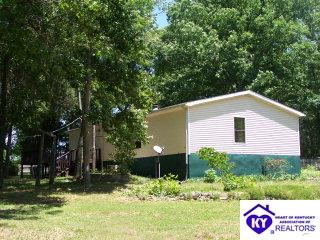 Listing Picture 127 Caswell Lane Upton, KY 42784 MLS HK9996443