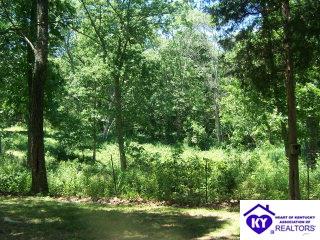 Listing Picture 127 Caswell Lane Upton, KY 42784 MLS HK9996443