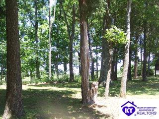 Listing Picture 127 Caswell Lane Upton, KY 42784 MLS HK9996443
