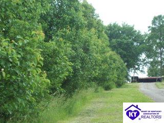 Listing Picture 373 Carey Lane Clarkson, KY 42754 MLS HK9996445