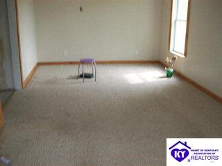 Listing Picture 1809 Rhodelia Road Payneville, KY 40157 MLS HK9995931