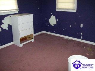 Listing Picture 1809 Rhodelia Road Payneville, KY 40157 MLS HK9995931