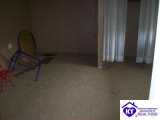 Listing Picture 1809 Rhodelia Road Payneville, KY 40157 MLS HK9995931