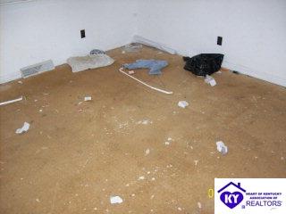 Listing Picture 2442 Friendship Church Road Magnolia, KY 42757 MLS HK9996164