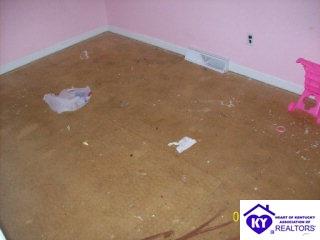 Listing Picture 2442 Friendship Church Road Magnolia, KY 42757 MLS HK9996164