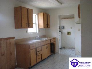 Listing Picture 2090 Pine Knob Road Caneyville, KY 42721 MLS HK9996524