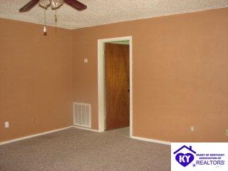 Listing Picture 2090 Pine Knob Road Caneyville, KY 42721 MLS HK9996524