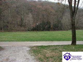 Listing Picture 2090 Pine Knob Road Caneyville, KY 42721 MLS HK9996524