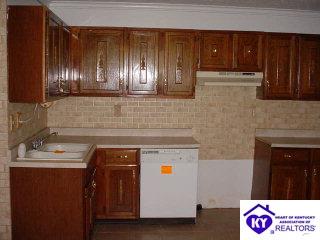 Listing Picture 230 Boak Mountain Lane Vine Grove, KY 40175 MLS HK9996780