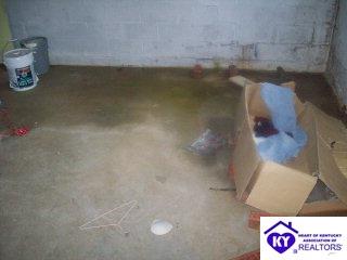 Listing Picture 1224 Old State Road Brandenburg, KY 40108 MLS HK9996480