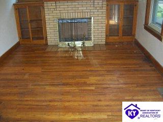 Listing Picture 1520 Cypress Drive Louisville, KY 40210 MLS HK9997017