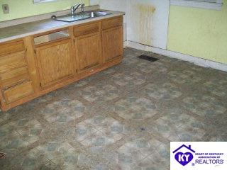 Listing Picture 1520 Cypress Drive Louisville, KY 40210 MLS HK9997017