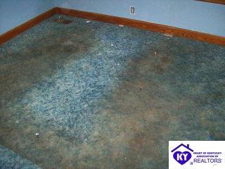 Listing Picture 1520 Cypress Drive Louisville, KY 40210 MLS HK9997017