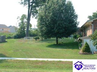 Listing Picture 538 S Woodland Drive Radcliff, KY 40160 MLS HK9997022