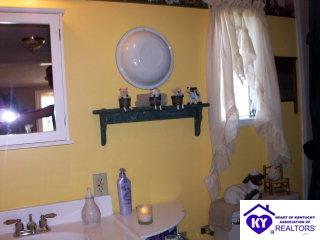 Listing Picture 116 Mt Merino Cemetery Lane Irvington, KY 40146 MLS HK9996763