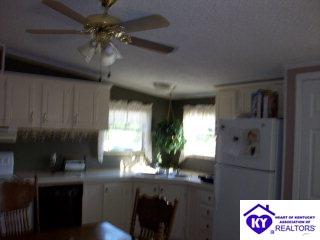 Listing Picture 116 Mt Merino Cemetery Lane Irvington, KY 40146 MLS HK9996763