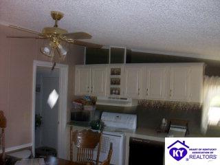 Listing Picture 116 Mt Merino Cemetery Lane Irvington, KY 40146 MLS HK9996763