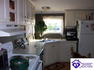 Listing Picture 116 Mt Merino Cemetery Lane Irvington, KY 40146 MLS HK9996763