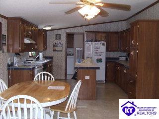 Listing Picture 210 Guy Court Guston, KY 40142 MLS HK9997454