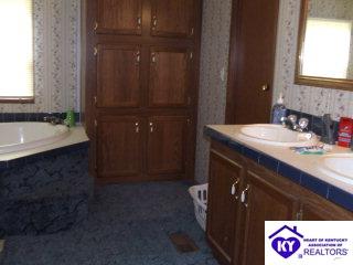 Listing Picture 210 Guy Court Guston, KY 40142 MLS HK9997454