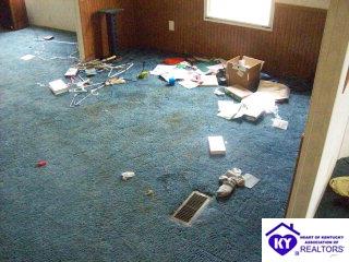 Listing Picture 15664 Rineyville Big Springs Road Rineyville, KY 40162 MLS HK9997336