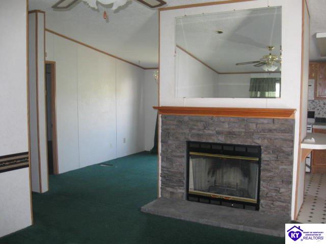 Listing Picture 1080 Viers Lane Vine Grove, KY 40175 MLS HK9997679