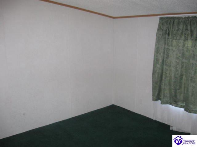 Listing Picture 1080 Viers Lane Vine Grove, KY 40175 MLS HK9997679