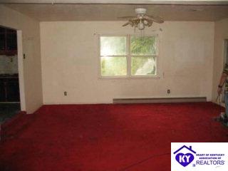 Listing Picture 279 Laham Lane Falls of Rough, KY 40119 MLS HK9997873