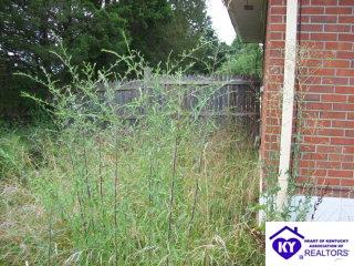 Listing Picture 249 Colesburg Road Lebanon Junction, KY 40150 MLS HK9997556