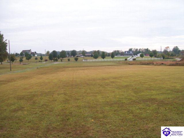 Listing Picture 655 Deckard School Road Rineyville, KY 40162 MLS HK9998112