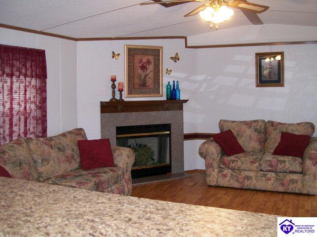 Listing Picture 655 Deckard School Road Rineyville, KY 40162 MLS HK9998112