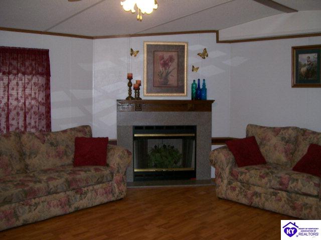 Listing Picture 655 Deckard School Road Rineyville, KY 40162 MLS HK9998112